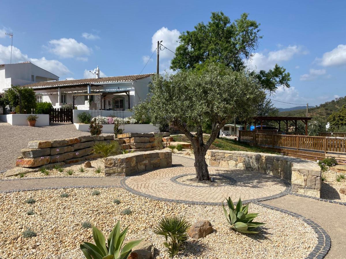 Casa Olivia - Charming Renovated With Panoramic Views