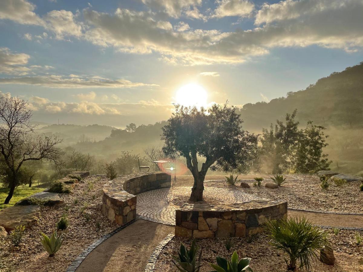 Casa Olivia - Charming Renovated With Panoramic Views