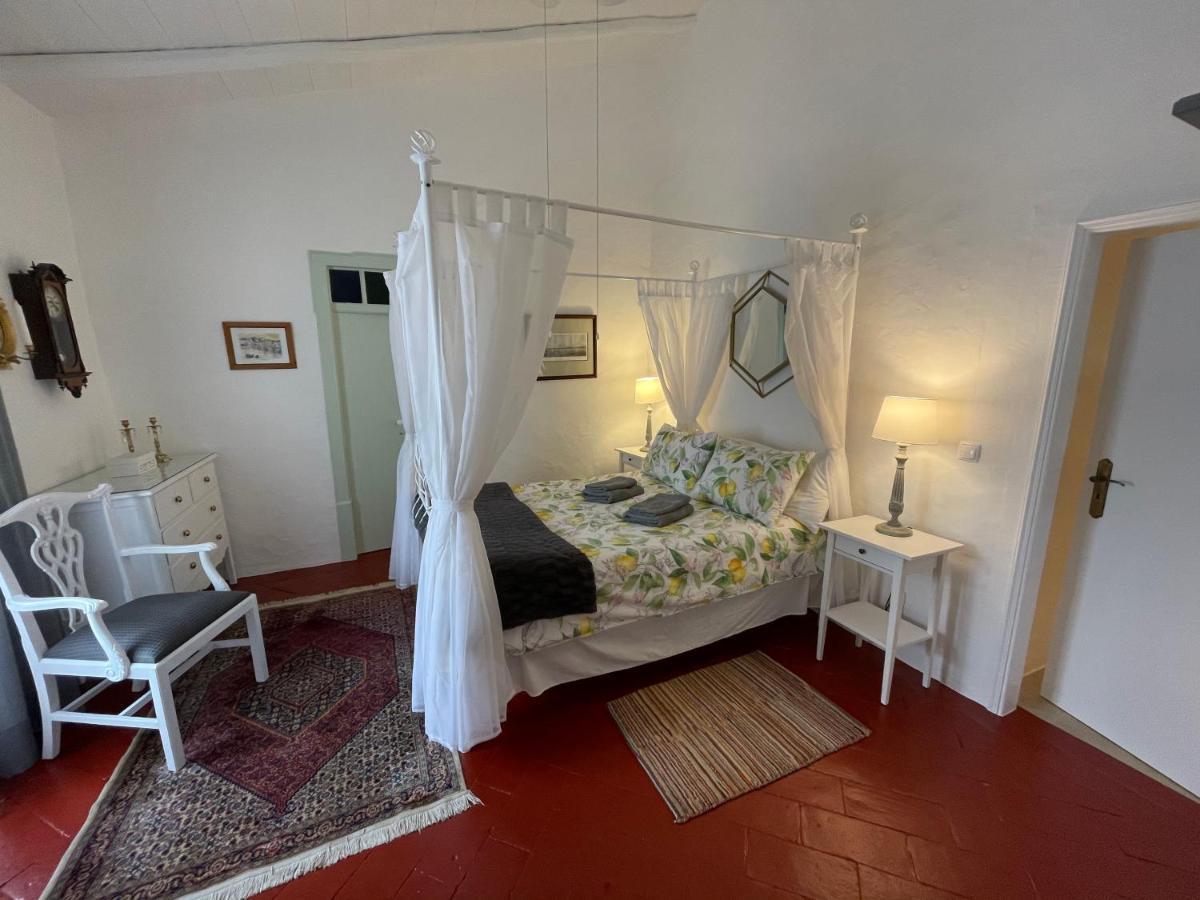 Casa Olivia - Charming Renovated With Panoramic Views